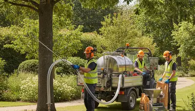 Palm Harbor, FL tree fertilizing service helping trees thrive in sandy soils