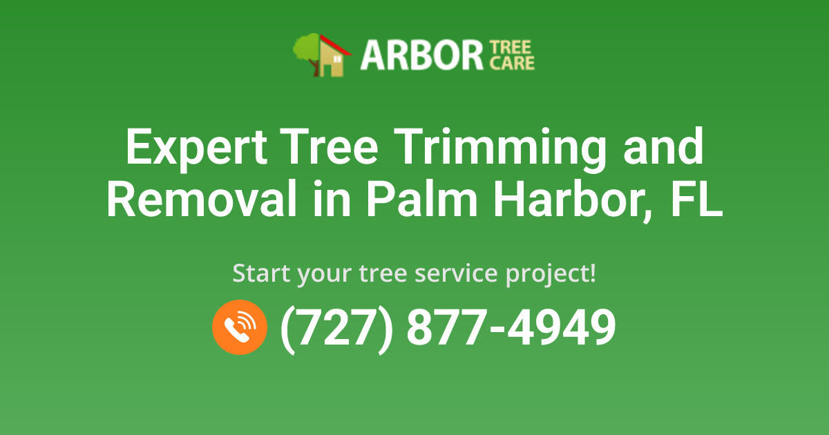Tree Service in Palm Harbor, FL | Arbor Tree Care