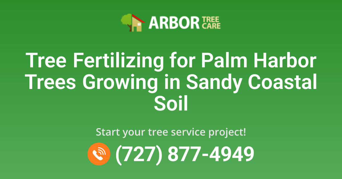Palm Harbor, FL Tree Fertilizing Services | Arbor Tree Care