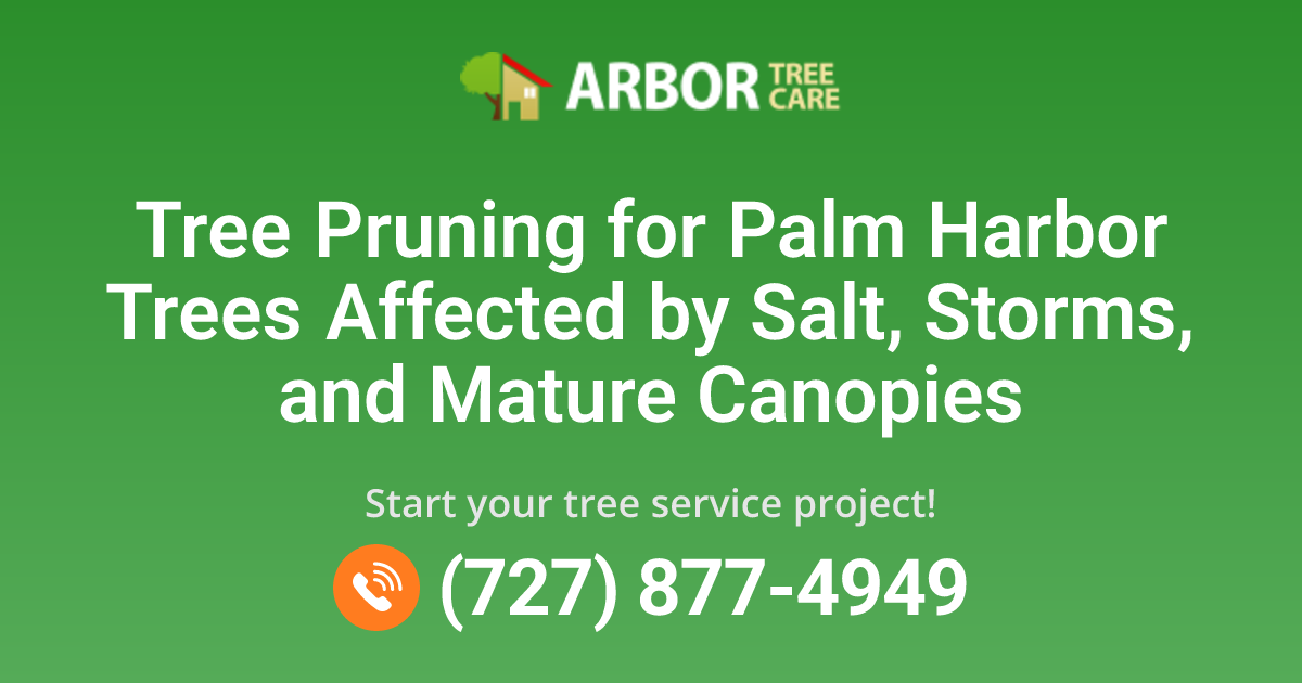 Palm Harbor, FL Tree Pruning Services | Arbor Tree Care